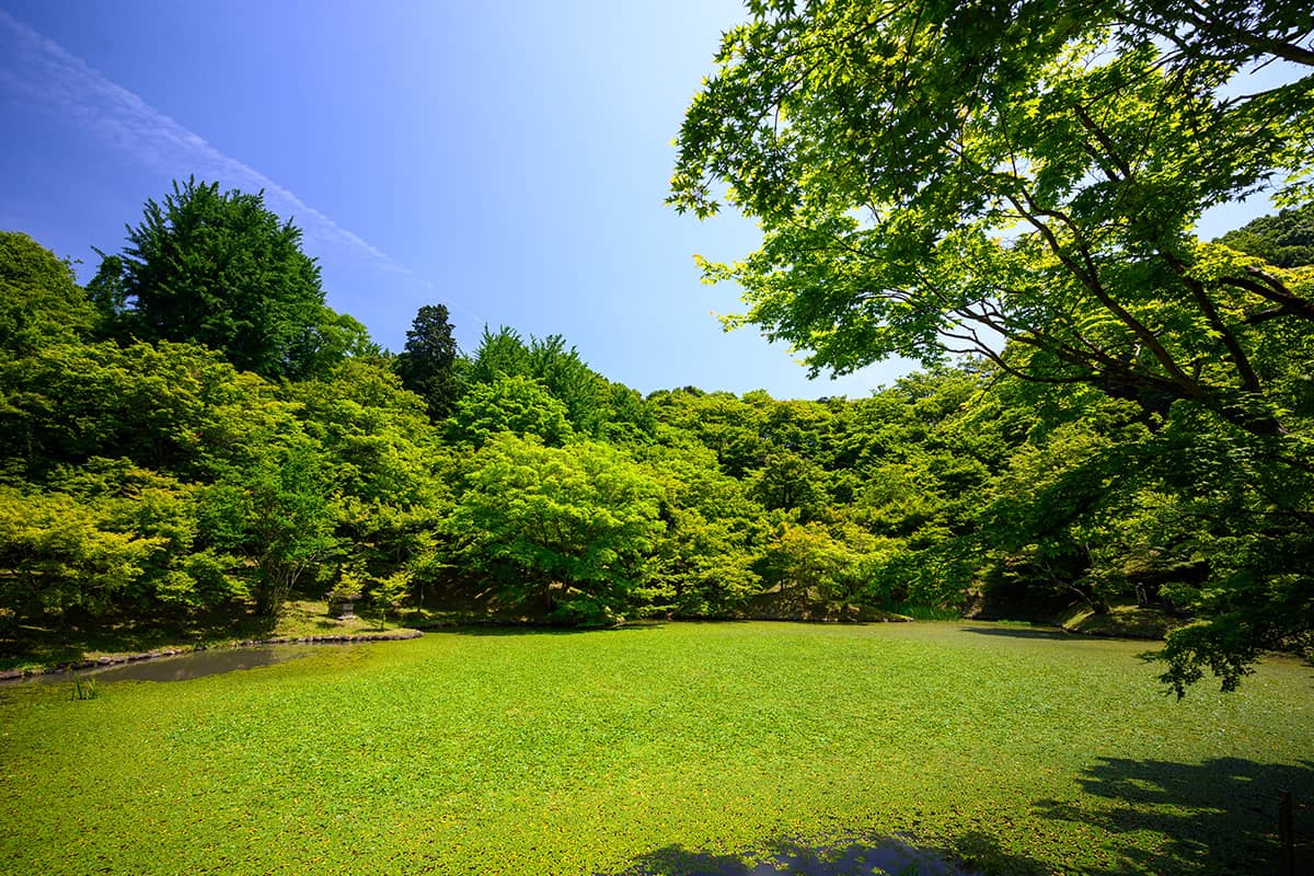beautiful landscape